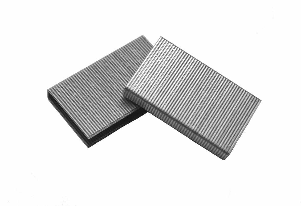 BCS1516 1/2" Crown x 2" Leg Stainless Steel Staple