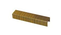 1614PG 16S2 1" Crown x 1-3/4" Leg Galvanized Staple