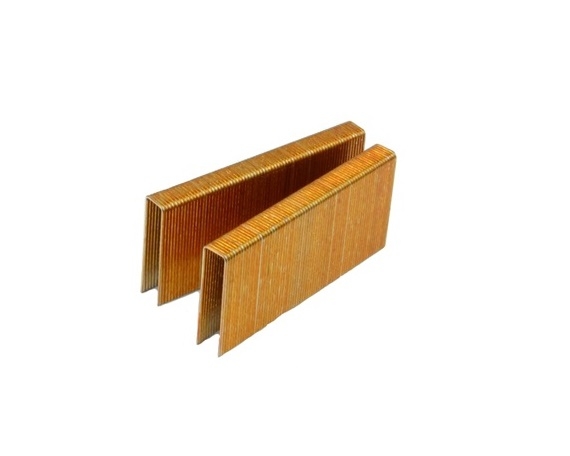 1/2" Crown x 1-3/4" Galvanized Staple - 8614PG-10M