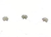 PW178-C Plastic Caps For PW178 Washer