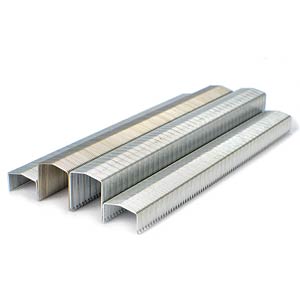 STCR2619 3/8" Crown x 1/2" Leg Galvanized Staple