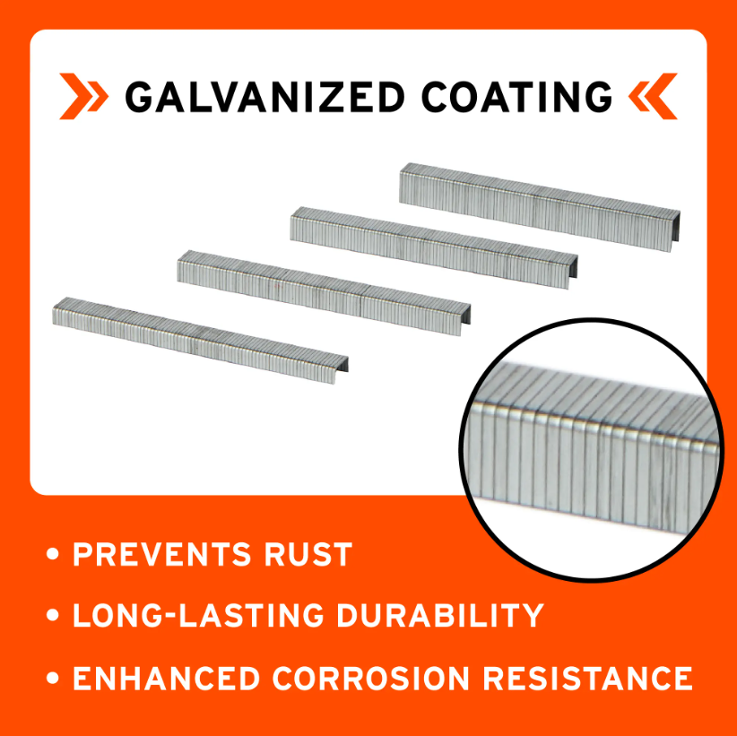Paslode 650945 20 Gauge Heavy-Duty 3/8" Crown x 1/2" Leg Staple galvanized coat