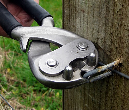 STOCKade staplemate